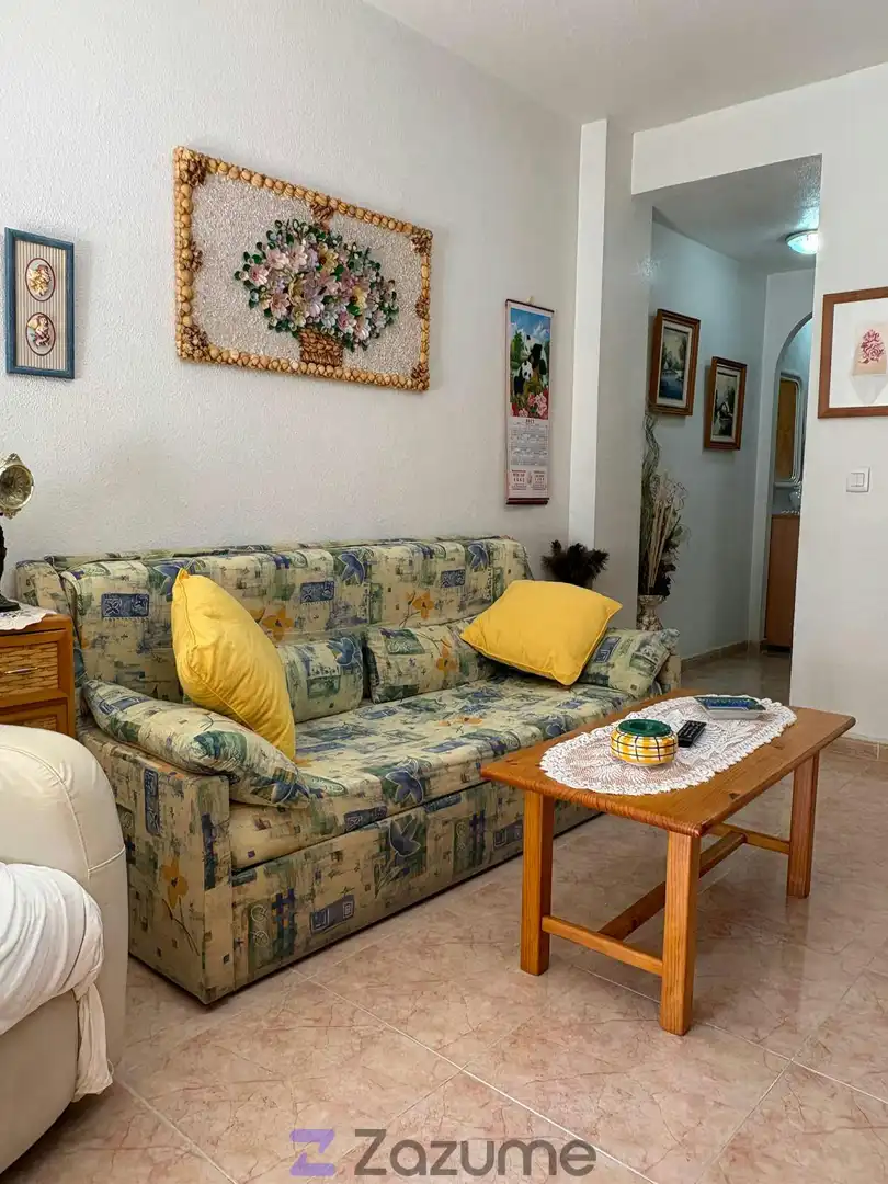 Sala de estar de Piso de alquiler en Torrevieja con Terraza, Amueblado y Lavadora