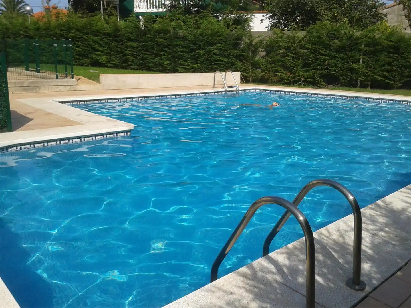 Flat with pool to rent in BARRIO LA ARENA, 17, imagen 2