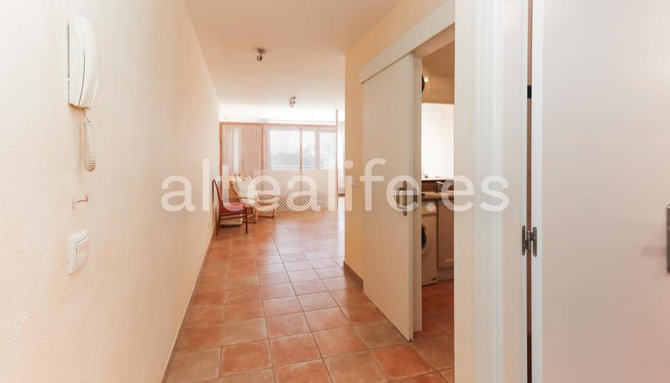 Foto 1 de Estudi en venda a Cap-negret, 5, L'Olla, Alicante