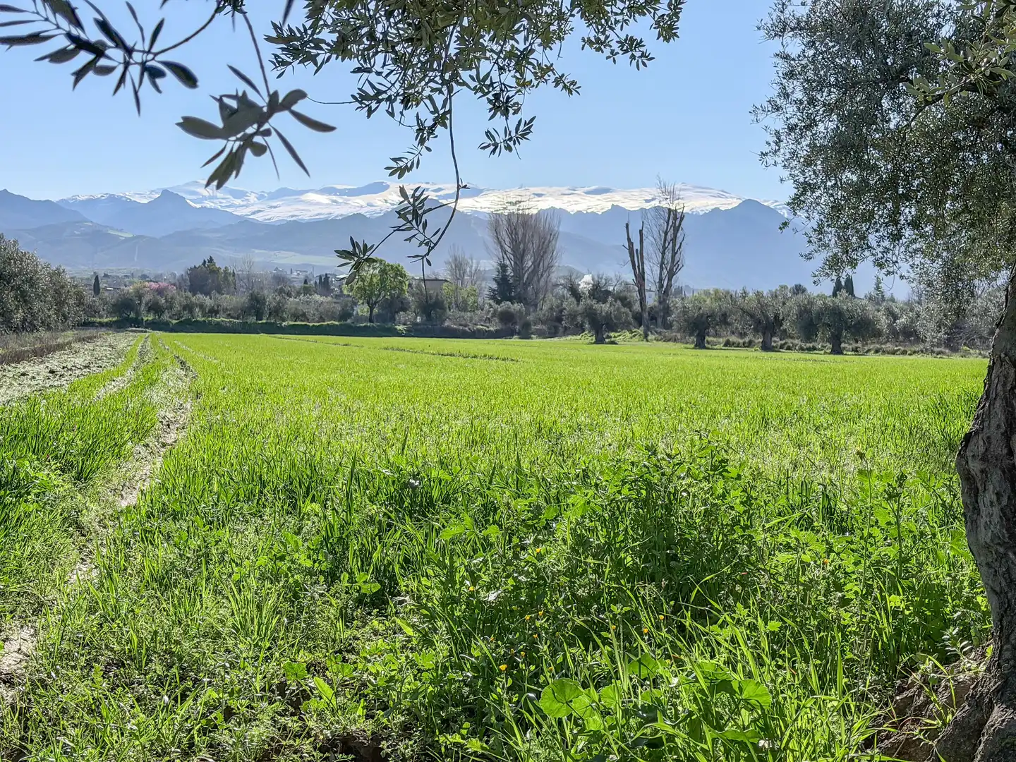 Terreni e lotti in vendita a Camino del Cerro 189, imagen 12