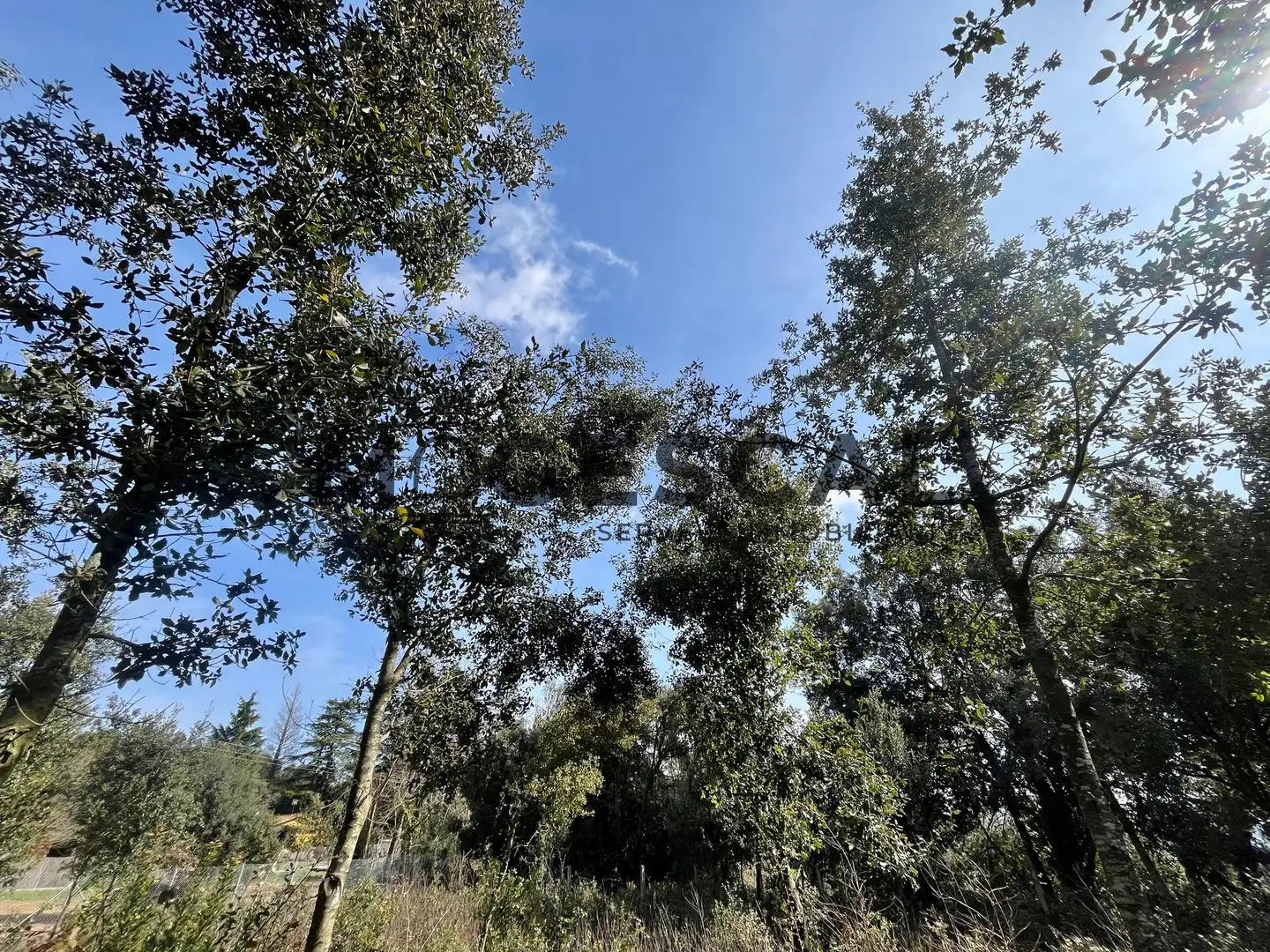 Terrenys i solars en venda a LLUIS BADO, imagen 20
