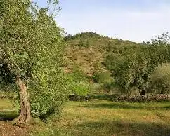 Terreni e lotti in vendita a Oeste, imagen 4