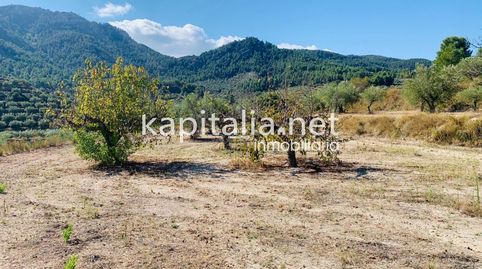 Parcela a la venta en Alfafara., immagine 4