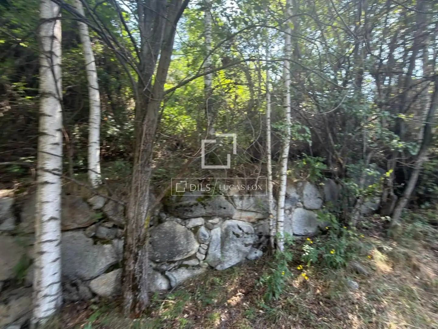 Terreno rustico in vendita a Els Cortals, imagen 2