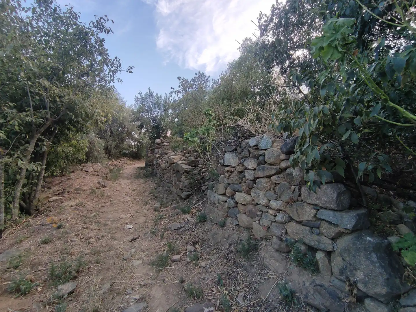 Casa o xalet en venda en Sant Climent Sescebes