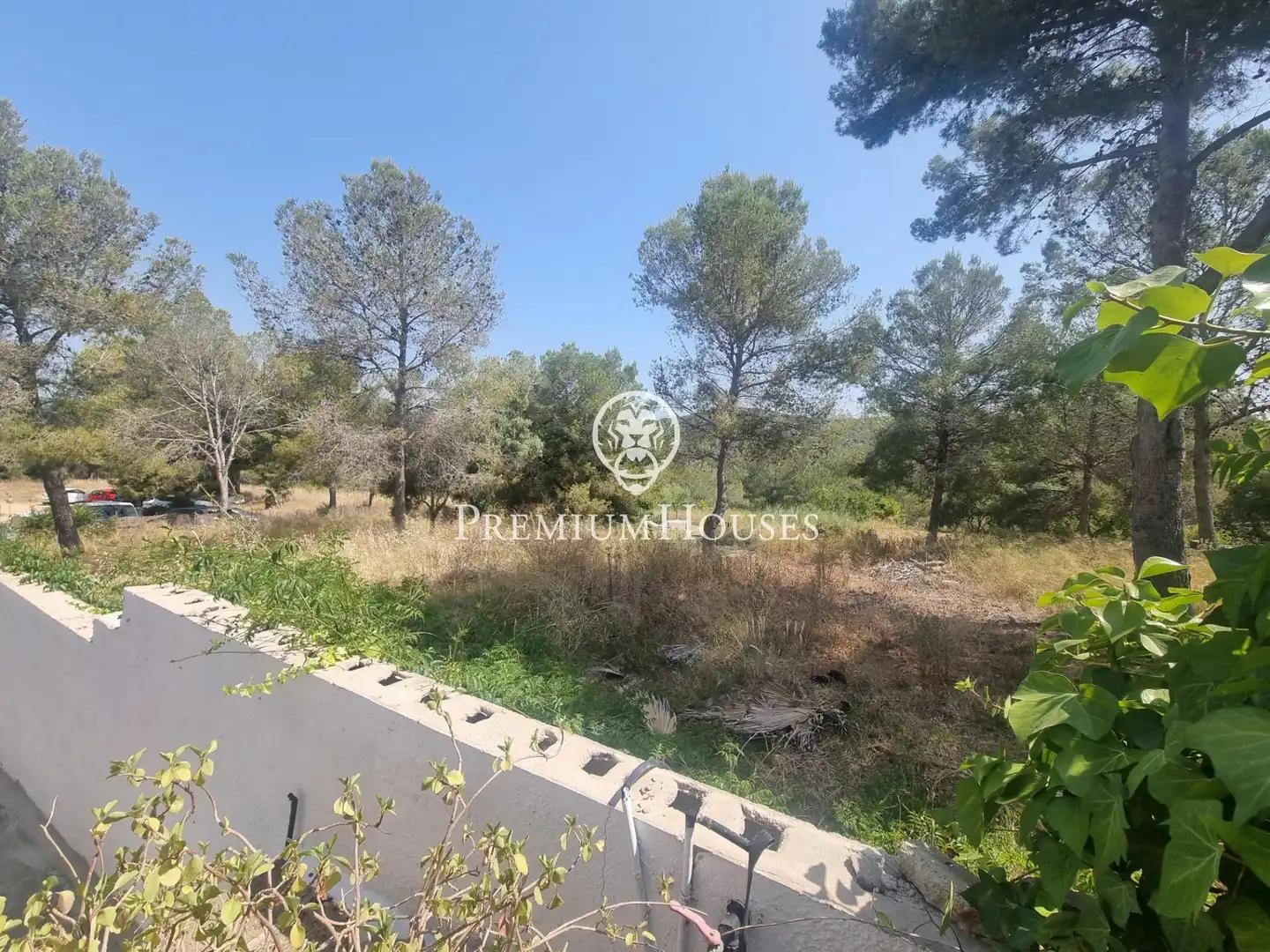 Terrain rustique à vendre à Vallpineda - Rocamar, imagen 10