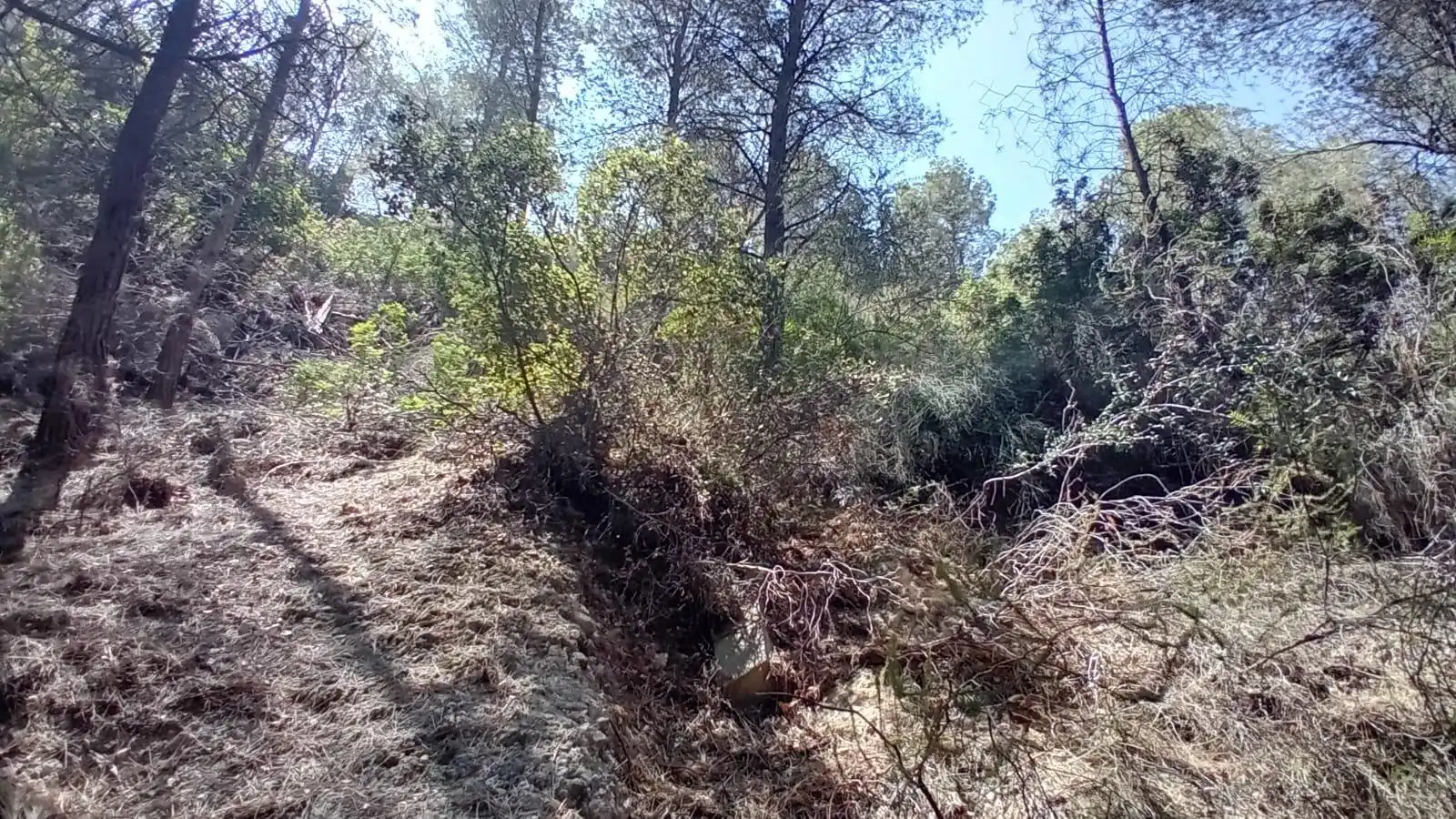 Lands and plots for sale in Mascarat, imagen 8