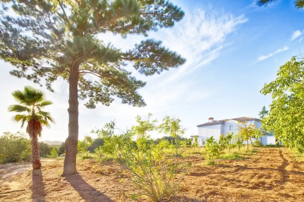 Country homes for sale in Ronda  with Private garden, Terrace and Swimming Pool