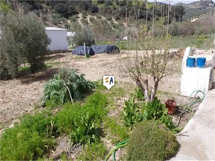 Country homes for sale in Algarinejo