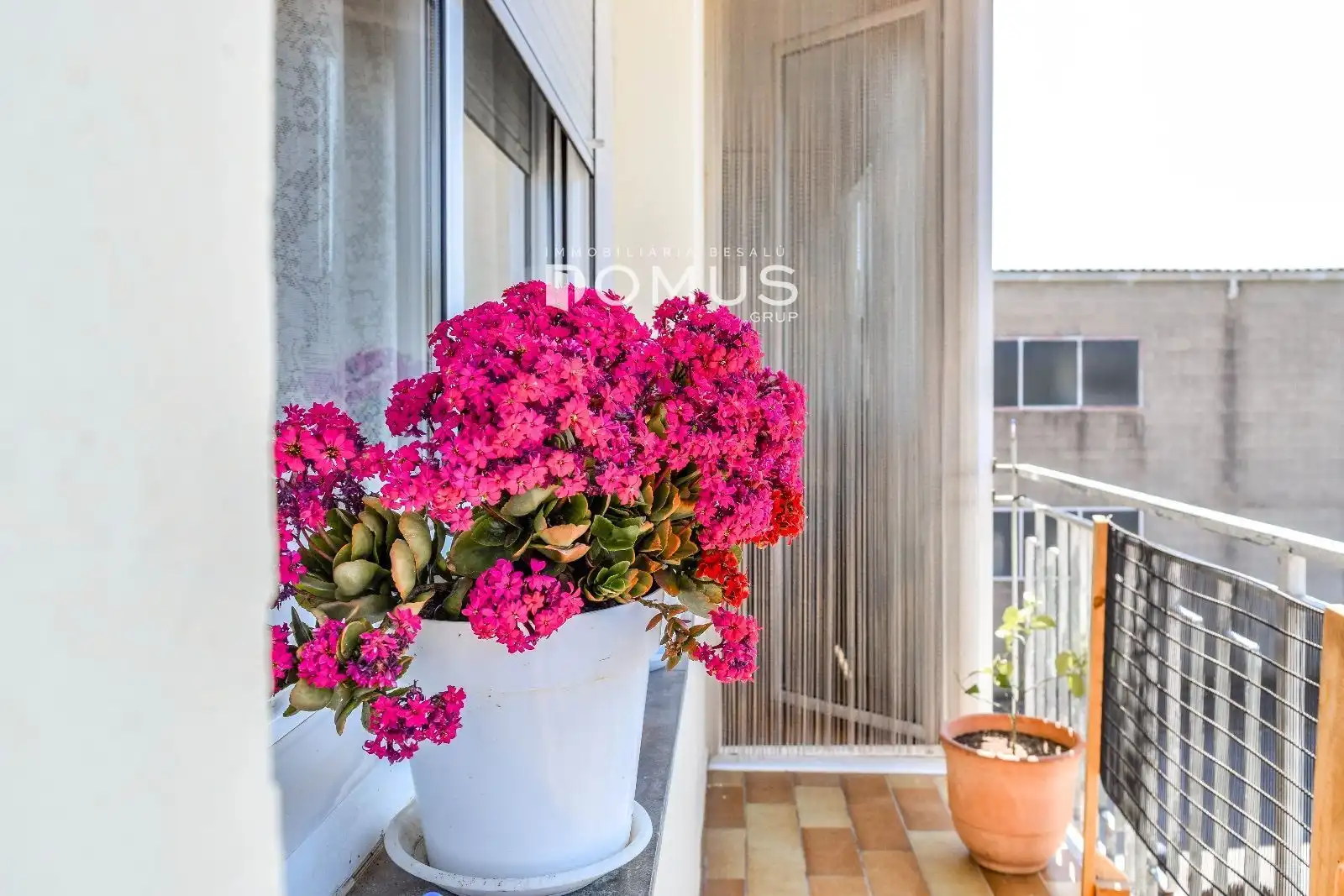 Terraza de Casa o chalet en venta en Besalú con Jardín privado, Terraza y Trastero