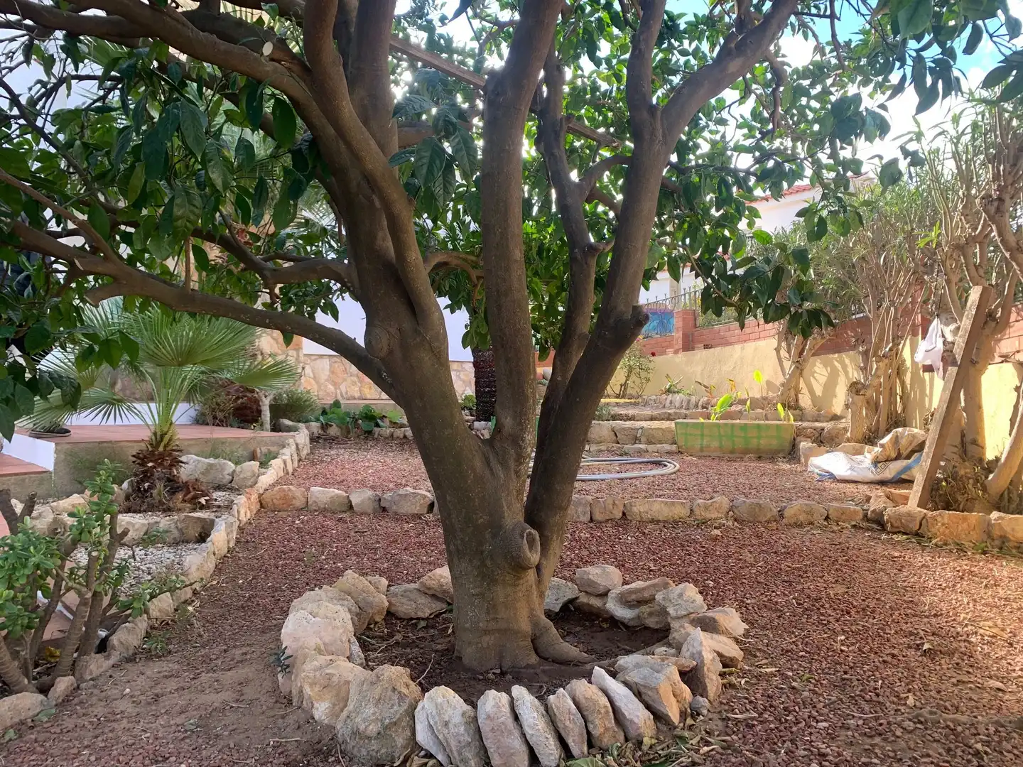 Jardí de Casa o xalet en venda en Torredembarra amb Aire condicionat, Calefacció i Jardí privat