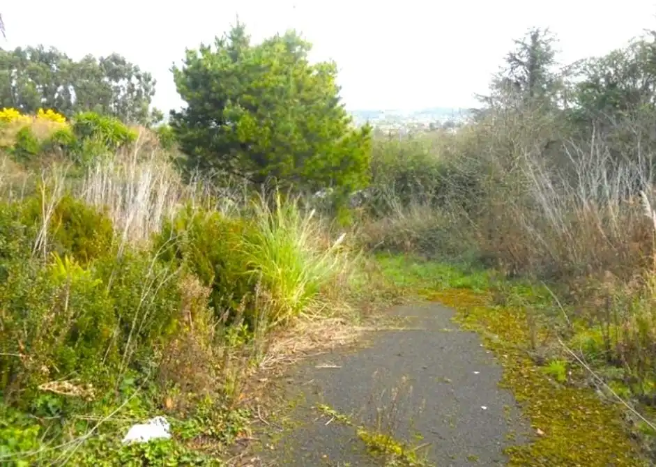 Lands and plots for sale in Camino Coria a Santurio 609, imagen 7