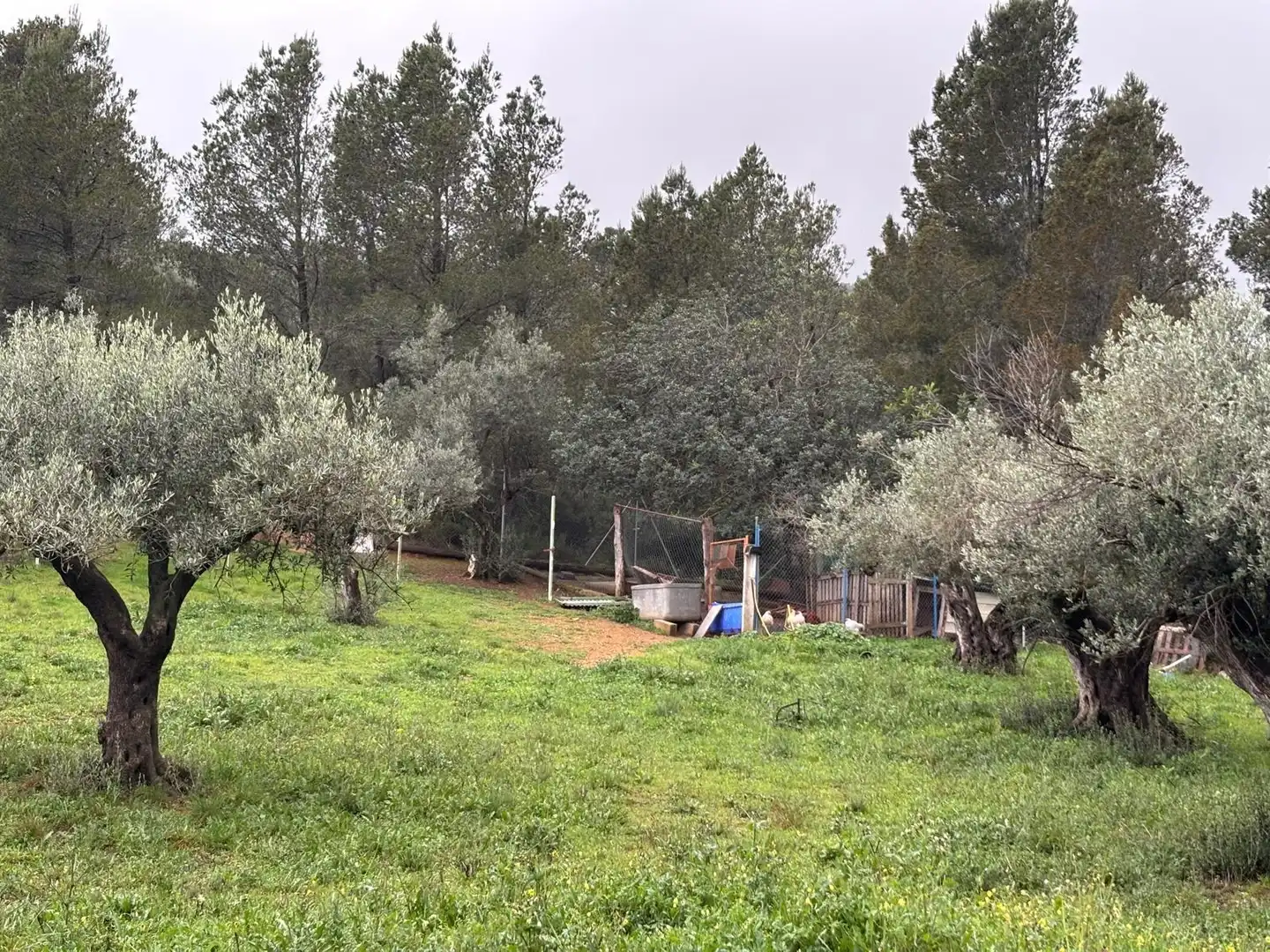 Casa rústica en venta en Alfara de Carles, imagen 21