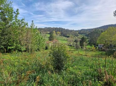 Terreni e lotti in vendita a Área de Ames