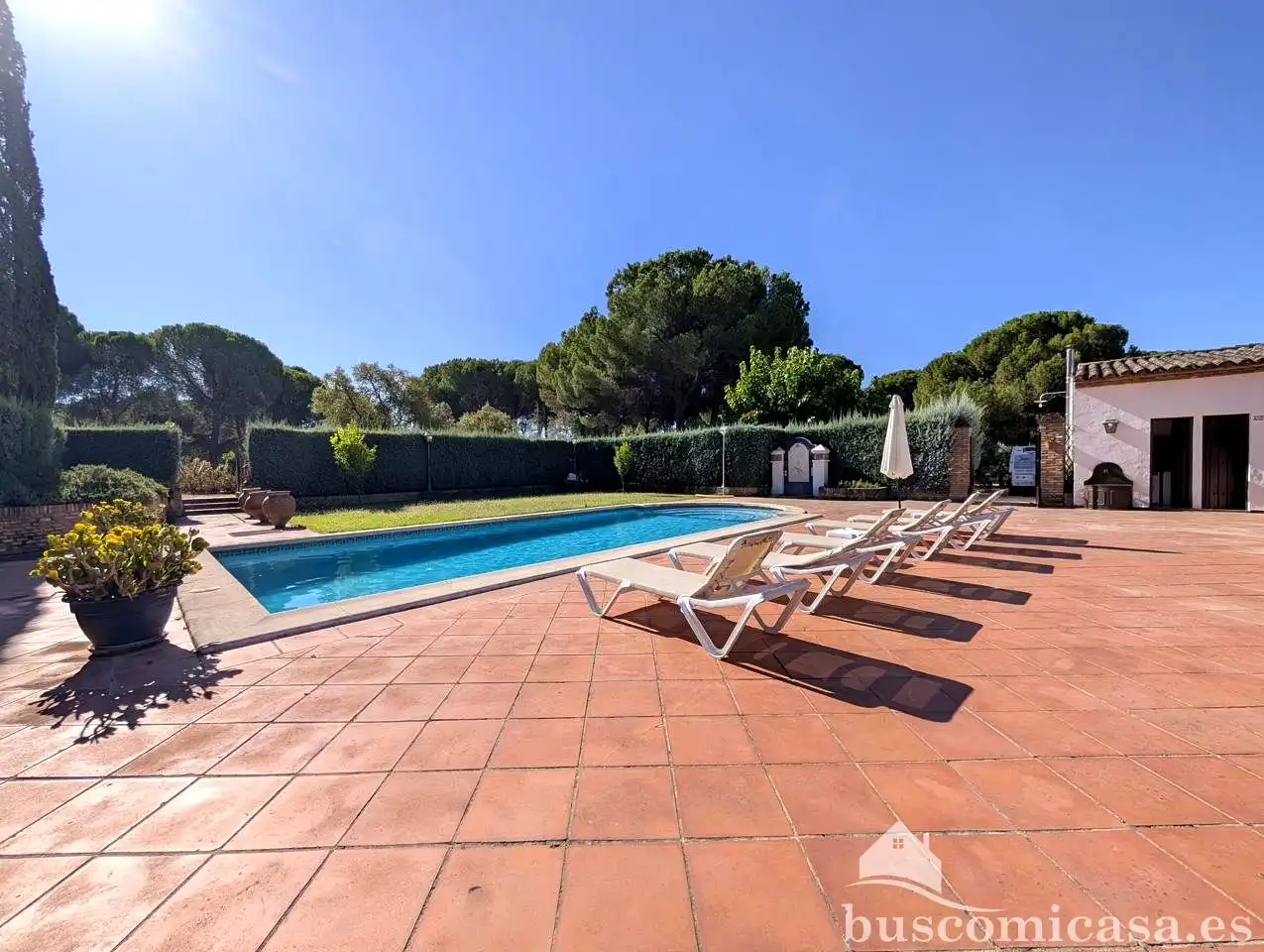 Maison rustique avec piscine à vendre à Santuario Virgen de la Cabeza, imagen 5