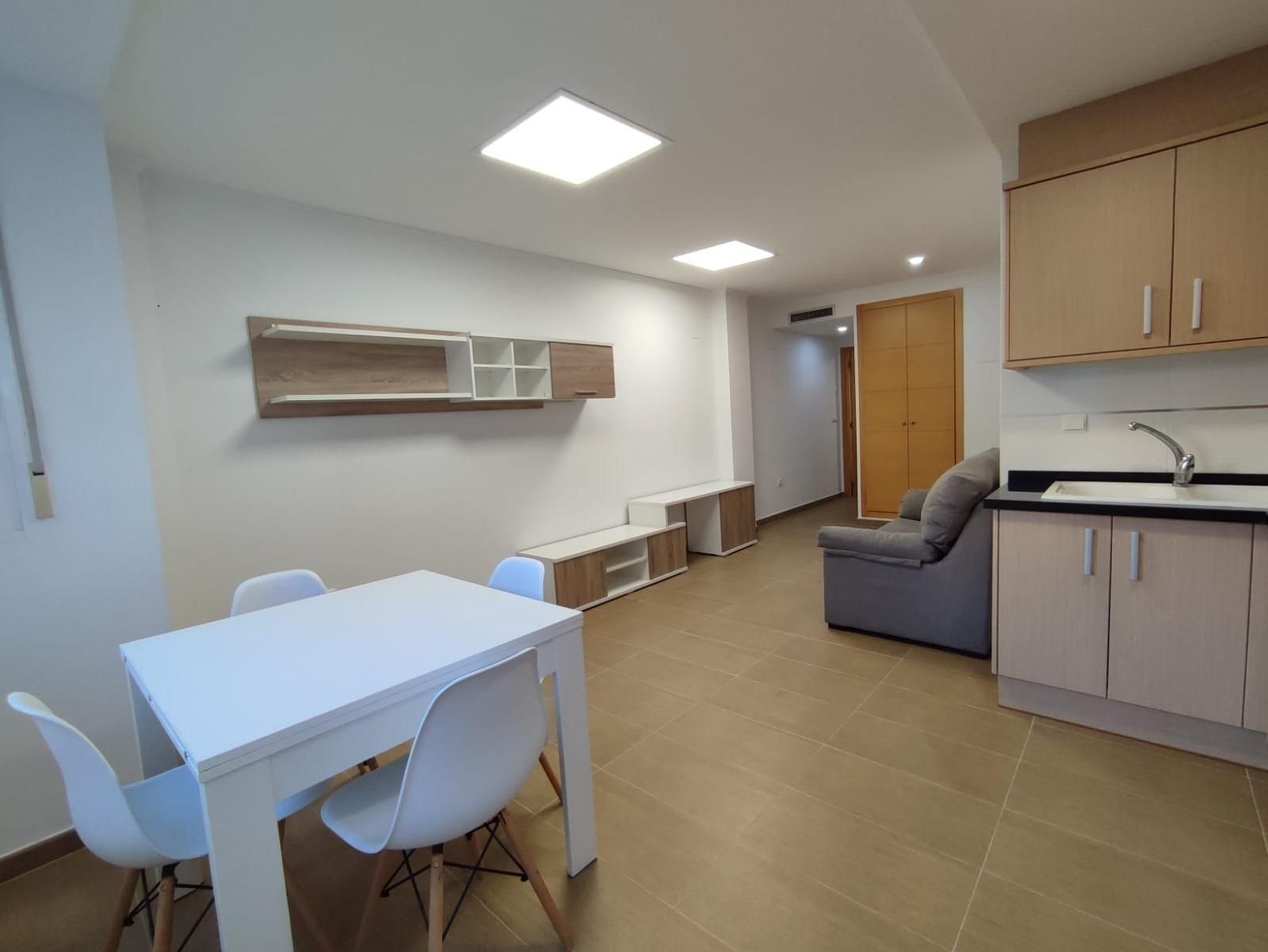 Sala d'estar de Apartament de lloguer en Alzira
