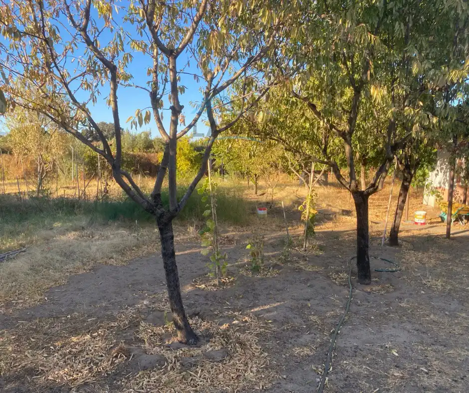 Country homes for sale in Saucedilla  with Air Conditioner, Storage room and Furnished