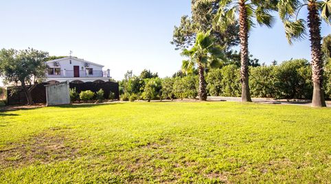 Foto 3 de Finca rústica en venta en Camino Viejo de Aljaraque, Cartaya, Huelva