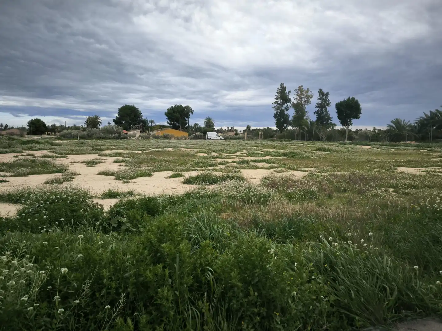 Rustikales Grundstück zum Verkauf in Partida derramador, imagen 10