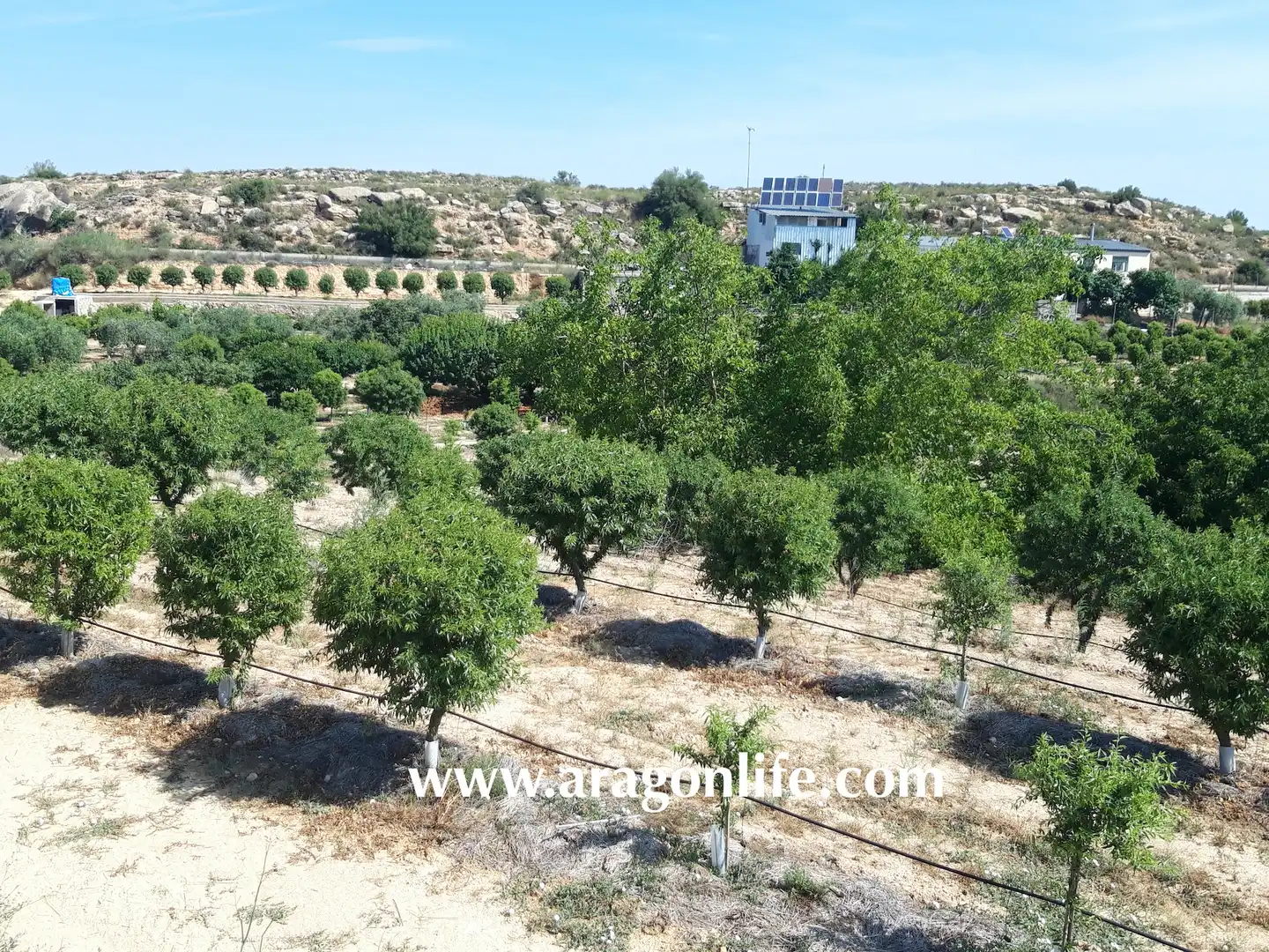 Finca rústica en venta en Caspe con Amueblado