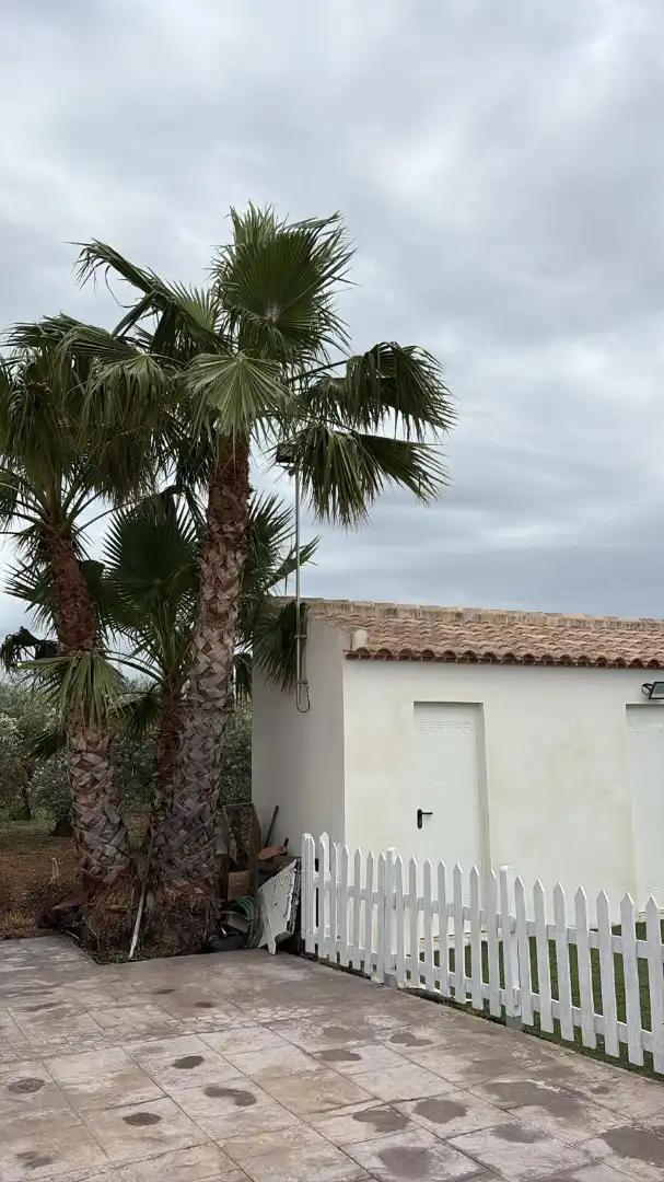 Casa o xalet en venda a Avenida Cañada Rosal, La Luisiana