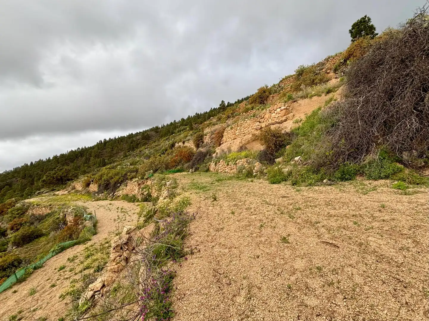 Terreny rústic en venda a Camino Camino Amea, imagen 4
