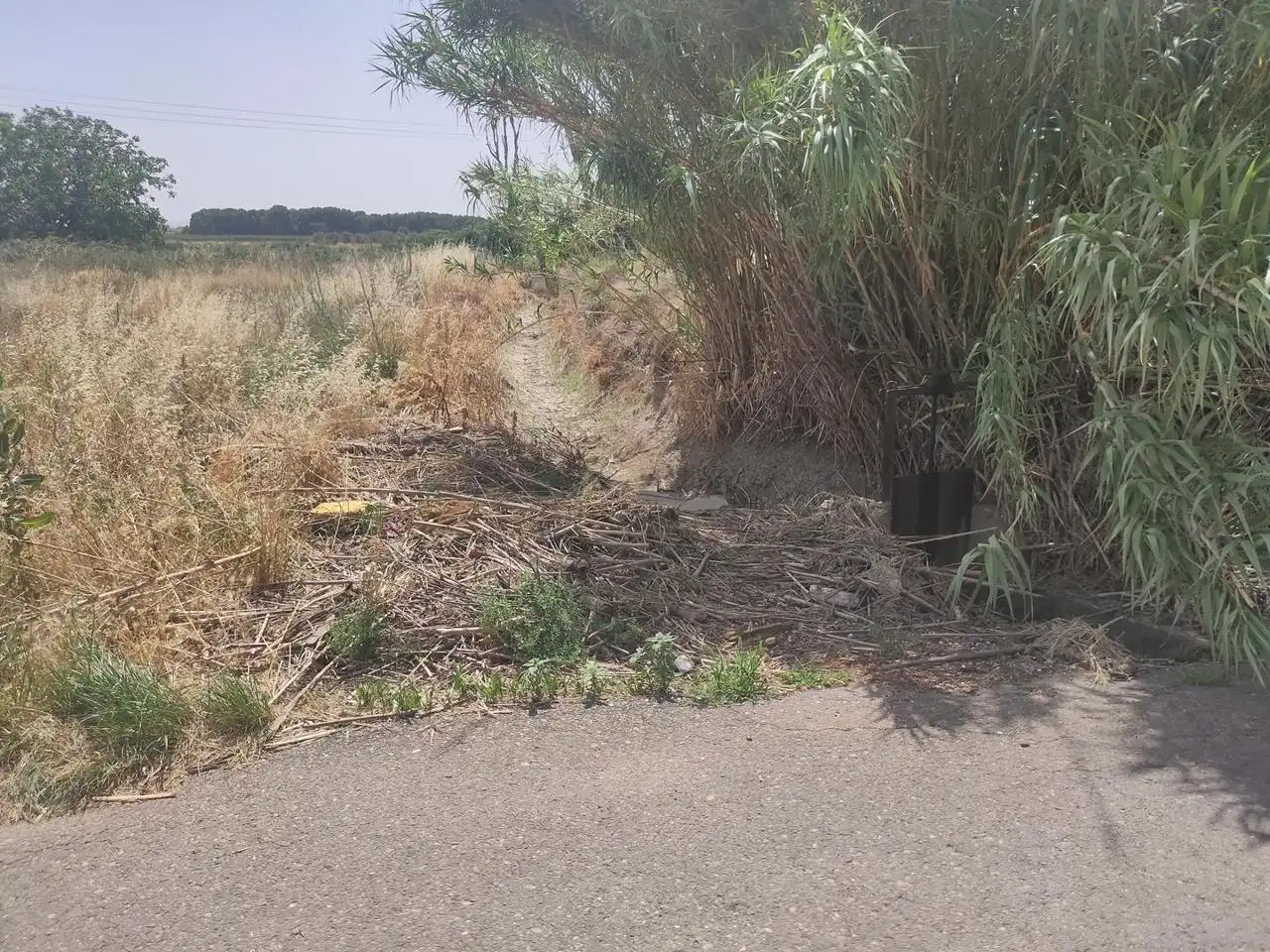 Terreni e lotti in vendita a Alagón, imagen 2