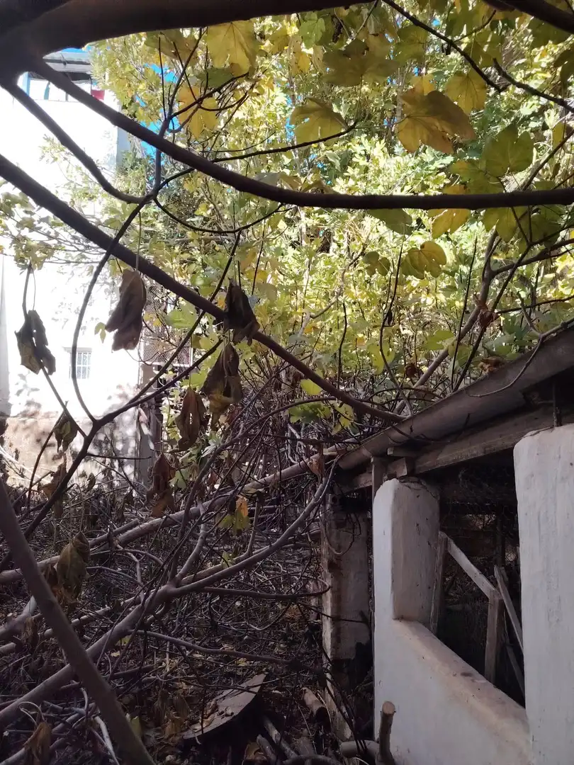 Inmuebles singulares en venta en Coín, imagen 18