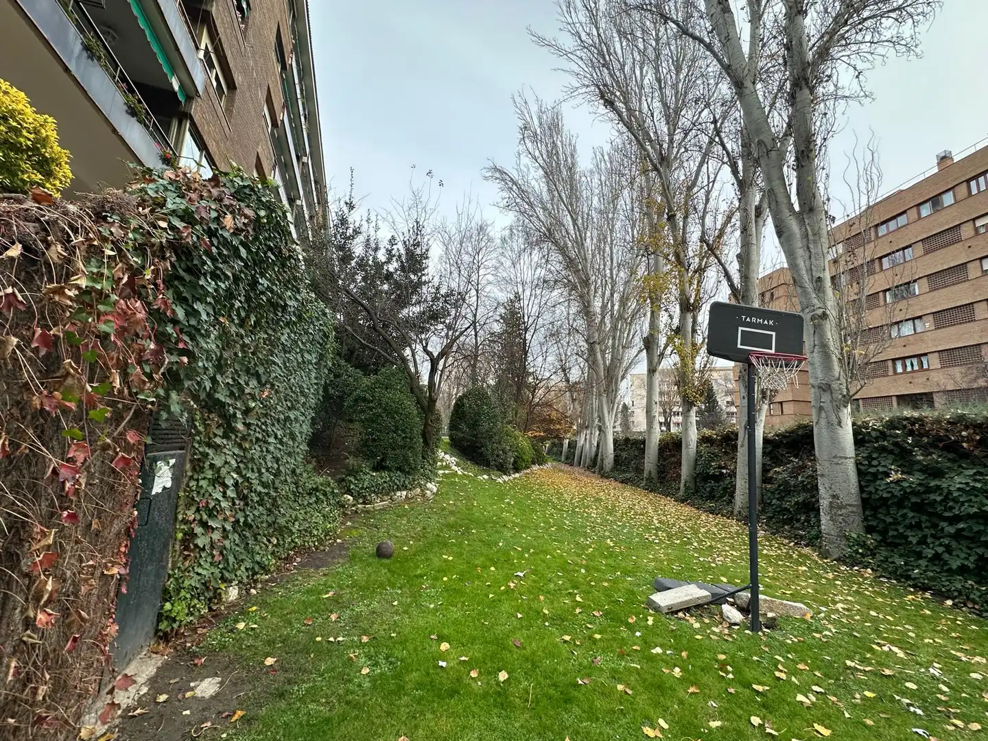Exterior view of Flat for sale in Madrid  with Parquet flooring, Terrace and Storage room