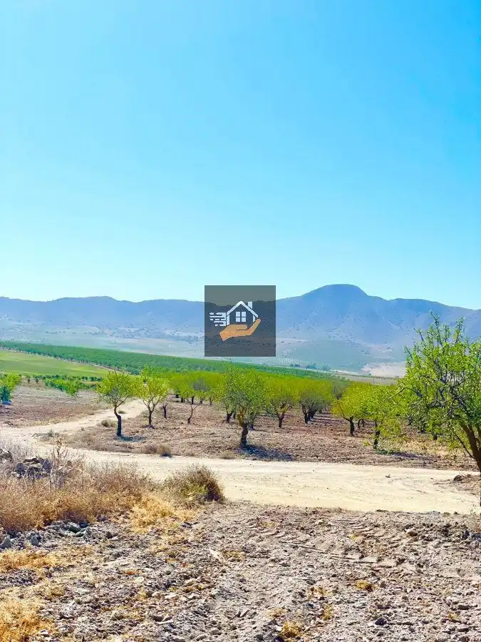 Finca rústica en venda en Chirivel