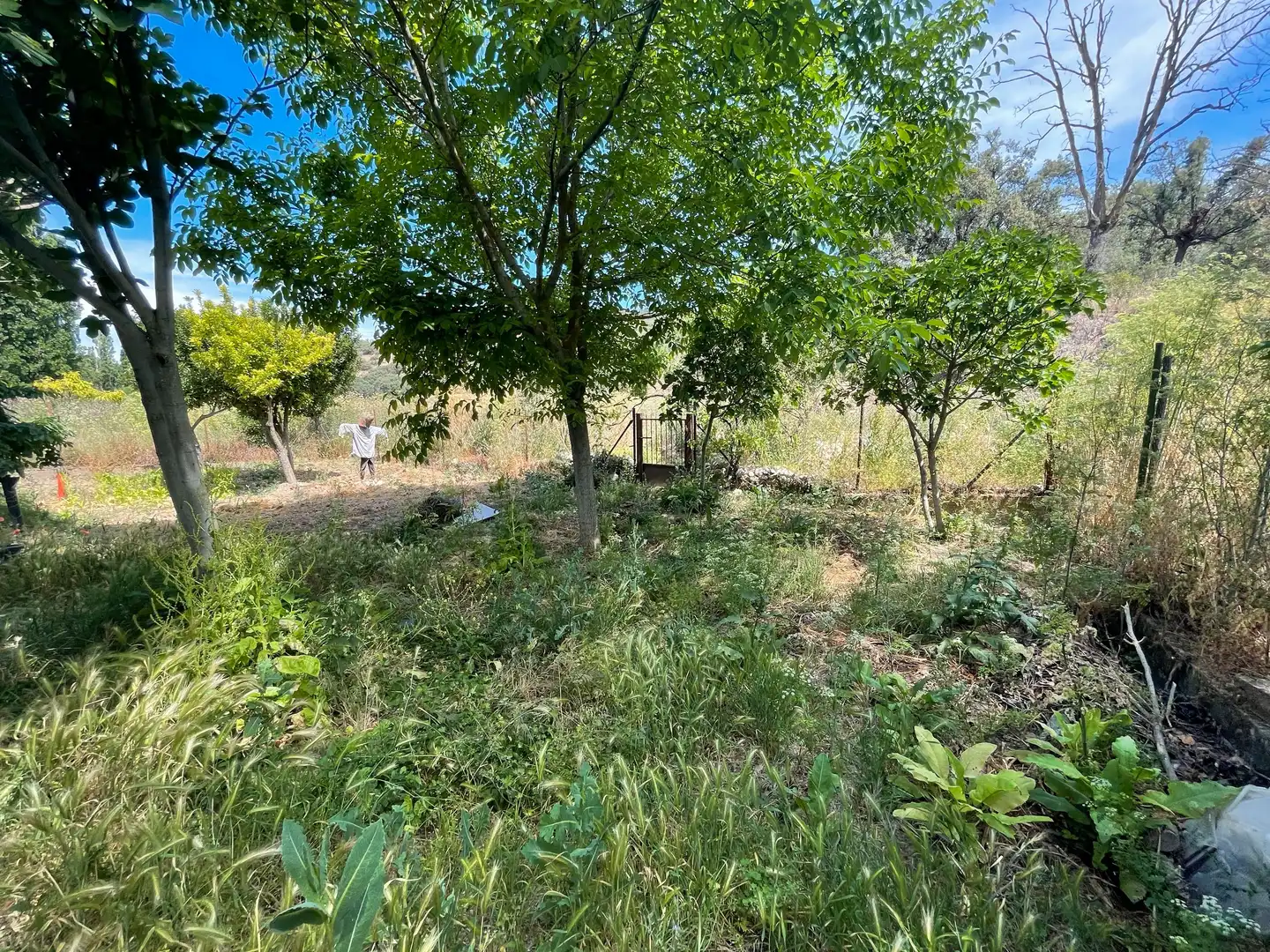 Casa o chalet en venta en Mondéjar