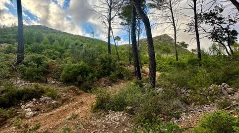 Photo 4 of Land for sale in Camino Polígono 15 Parcela 203 Sa Trongera. Andrat, 15, Port d'Andratx, Illes Balears