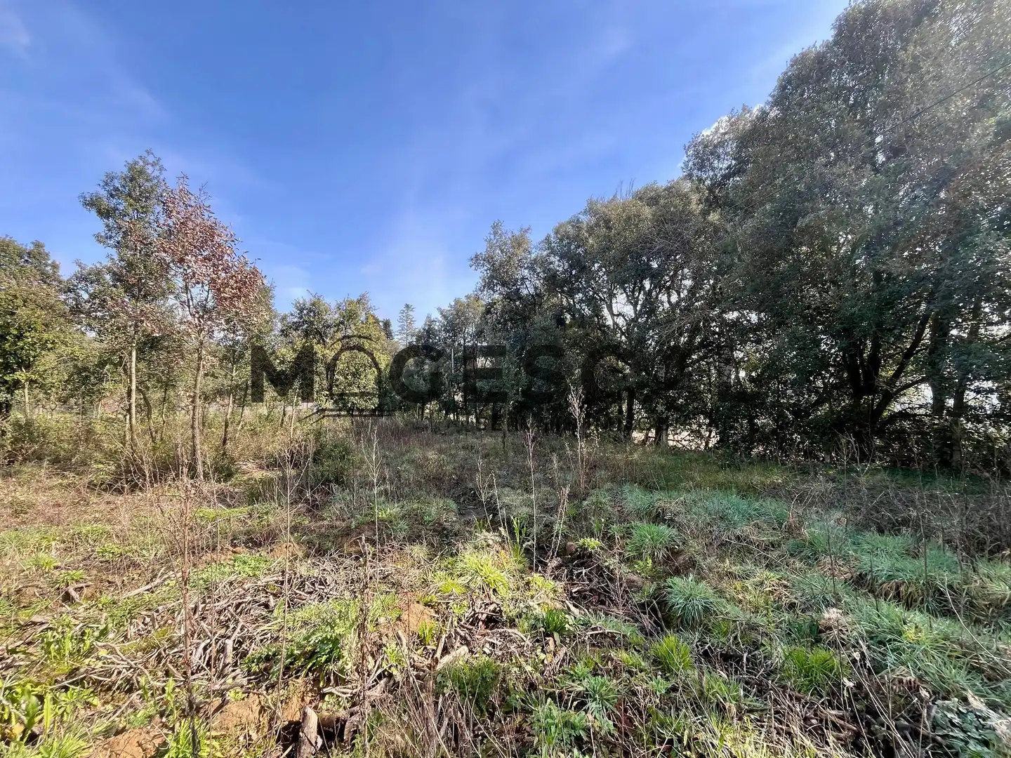 Terrenys i solars en venda a LLUIS BADO, imagen 16