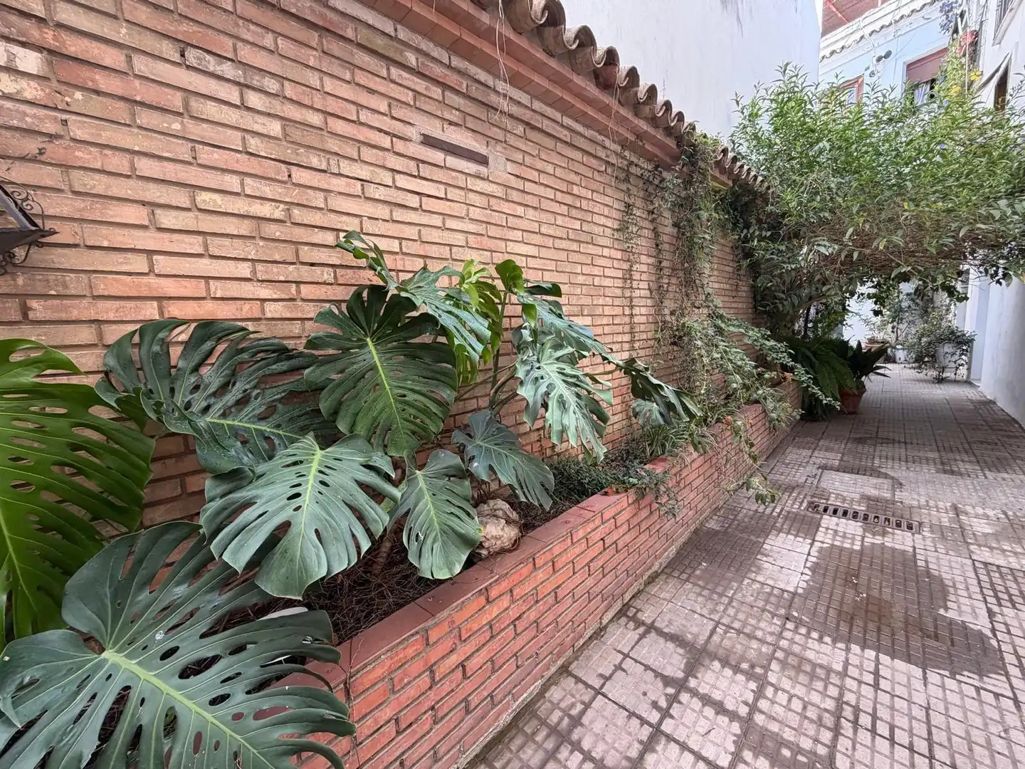 Wohnung mit Terrasse zum Verkauf in Calle LUCANO 17, imagen 28