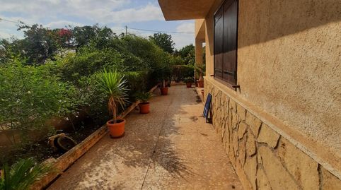 DISFRUTA DEL CAMPO EN LA ZONA VIP DE PURIAS, Bild 5