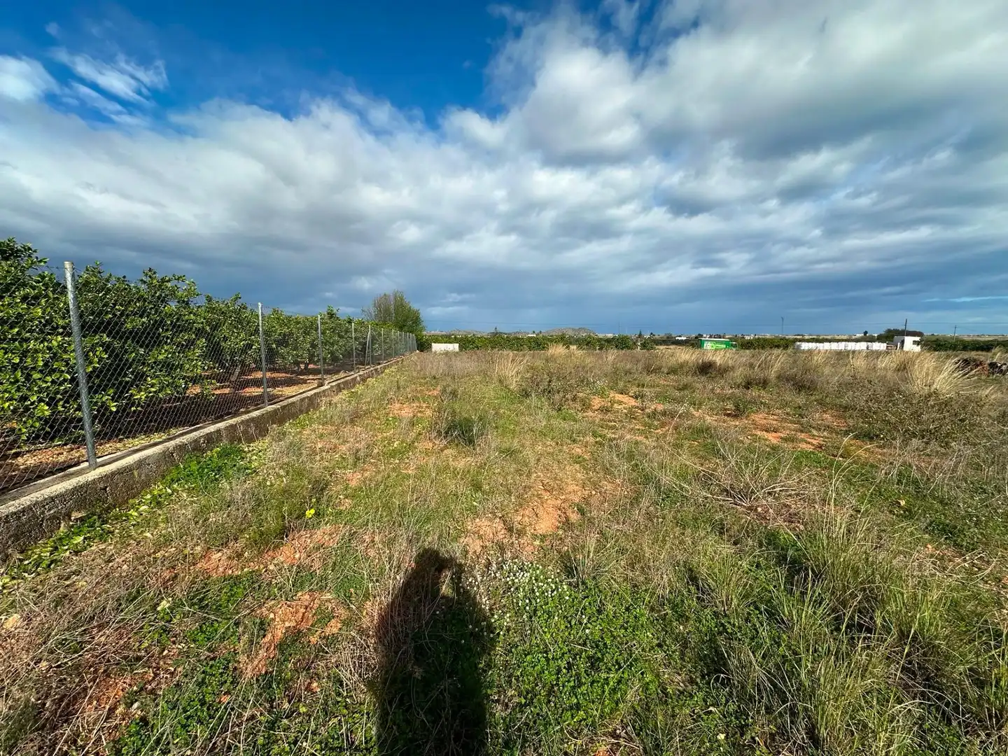 Rural land for sale in Pego, imagen 11