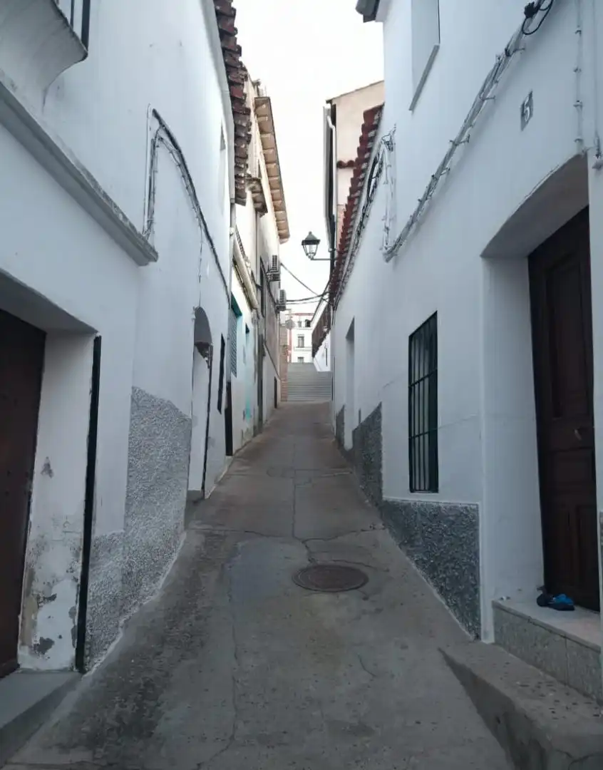 Vista exterior de Casa o chalet en venta en Puebla de Alcocer