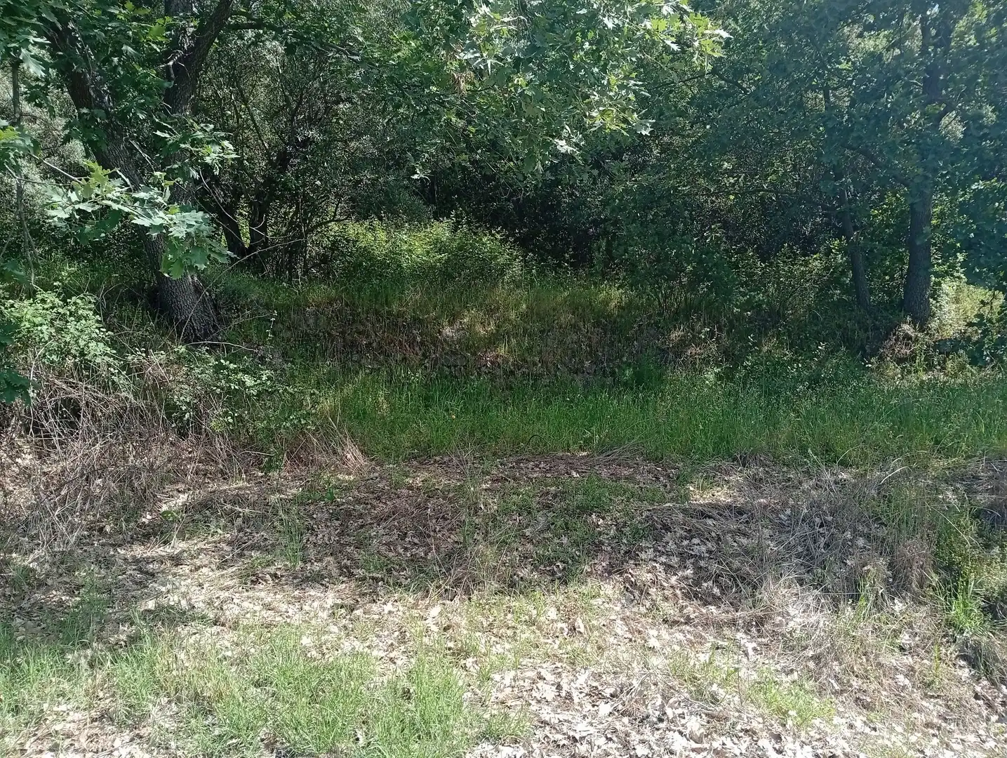 Terreni e lotti in vendita a Losar de la Vera, imagen 43