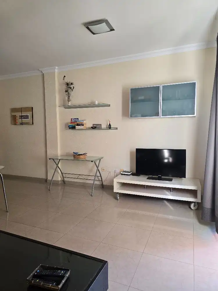 Apartamento de alquiler en Calle Aceviño, 49, Zona Botánico
