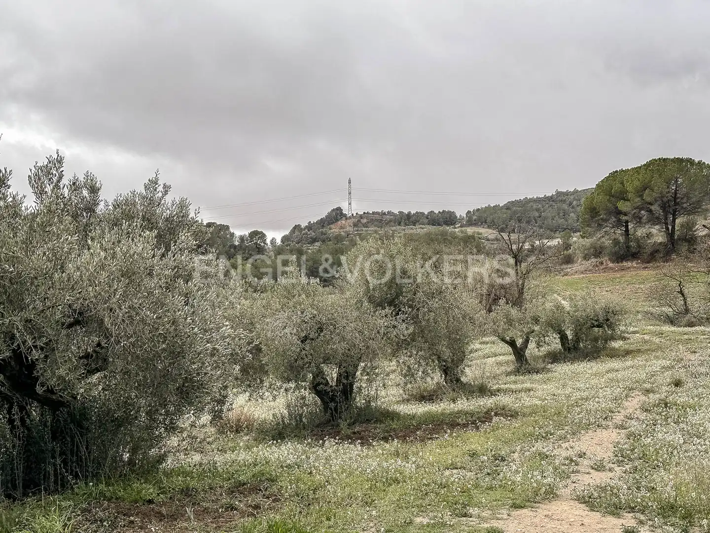 Edificio en venta en Sant Quintí de Mediona