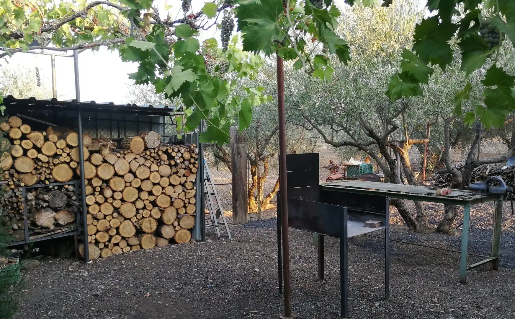 Jardín de Casa o chalet en venta en Brazatortas con Aire acondicionado, Calefacción y Jardín privado