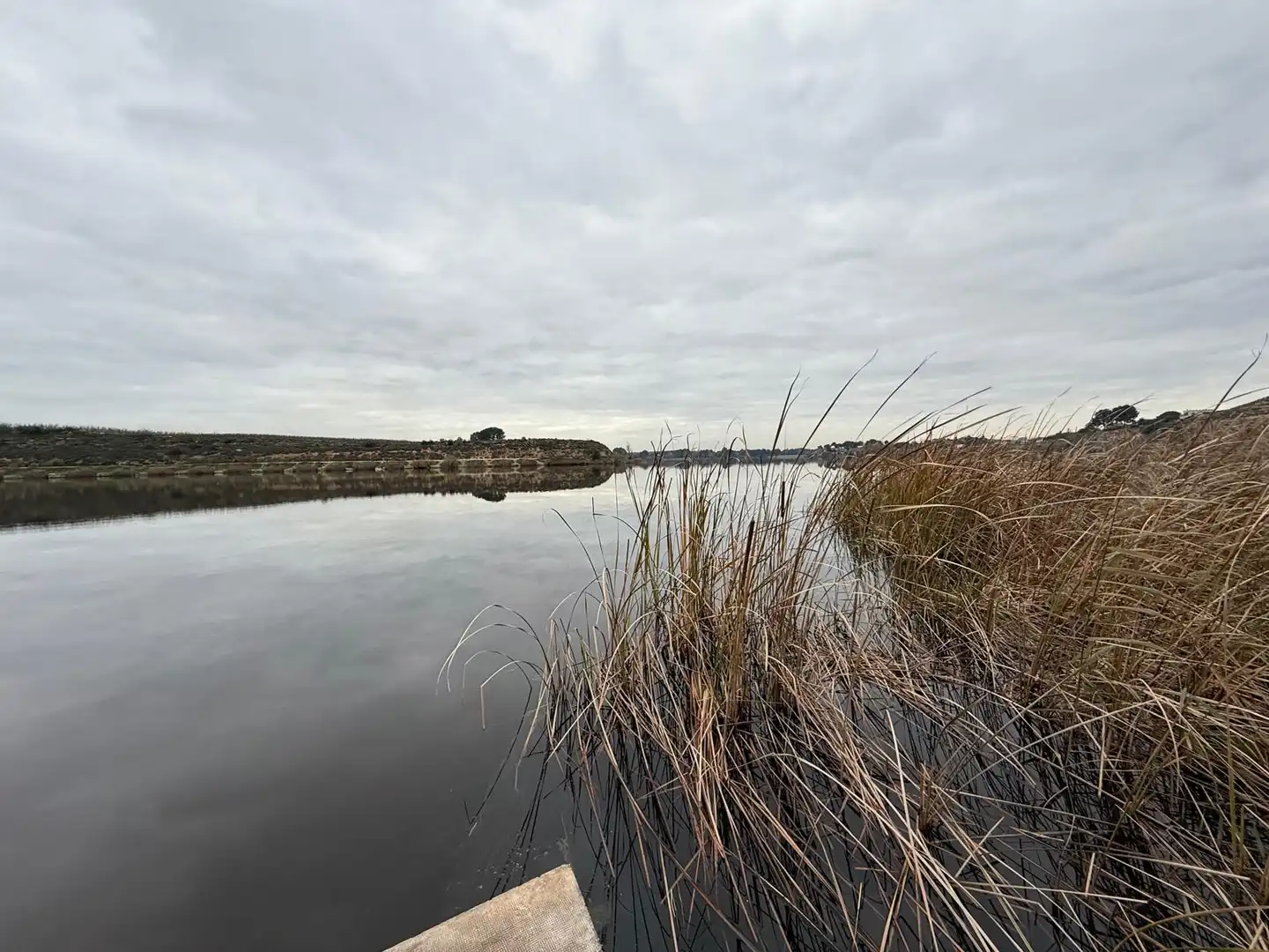 Vista exterior de Finca rústica en venta en Torres de Segre con Jardín privado, Terraza y Internet