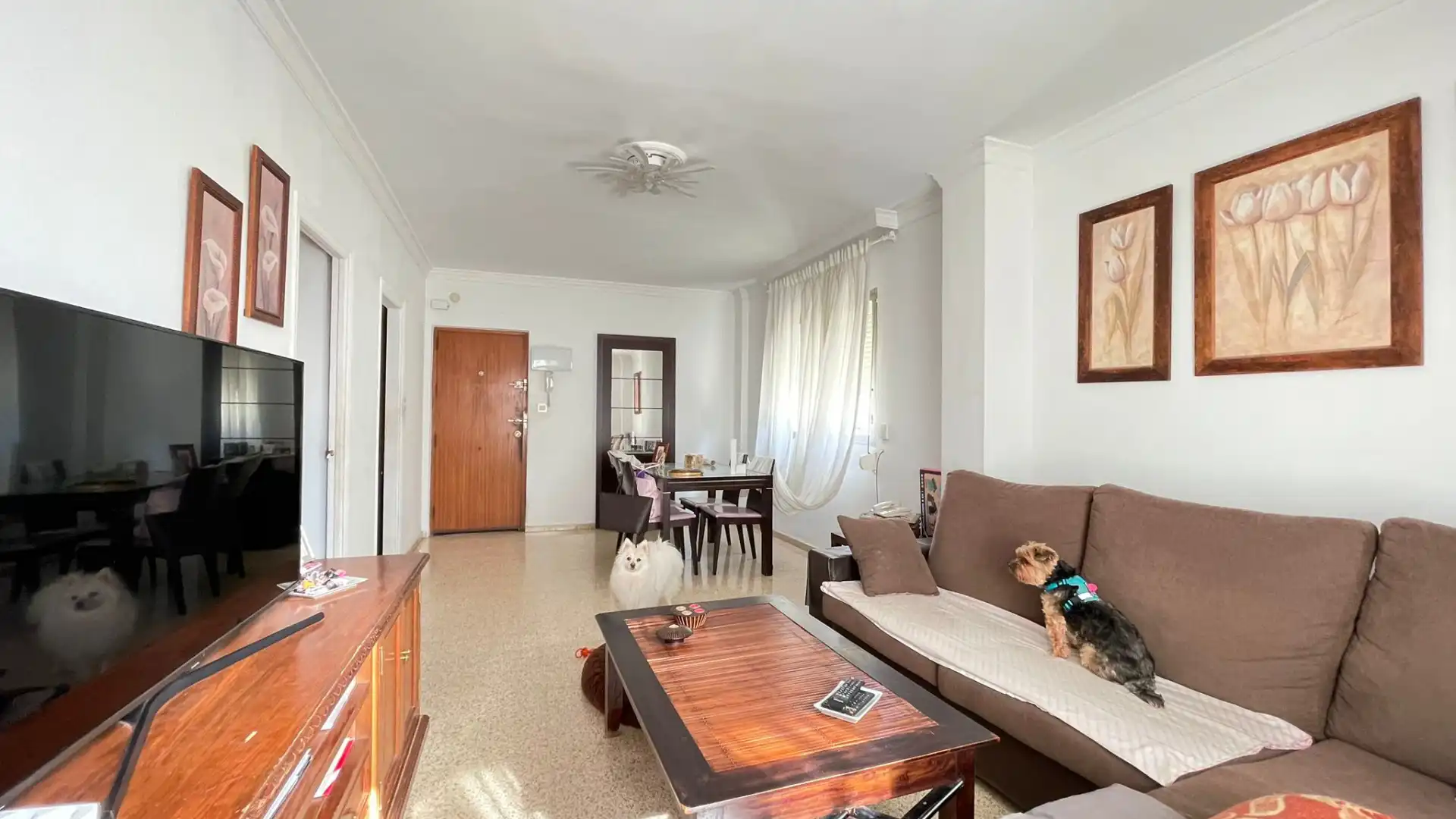 Living room of Apartments for sale in Estepona  with Terrace and Balcony