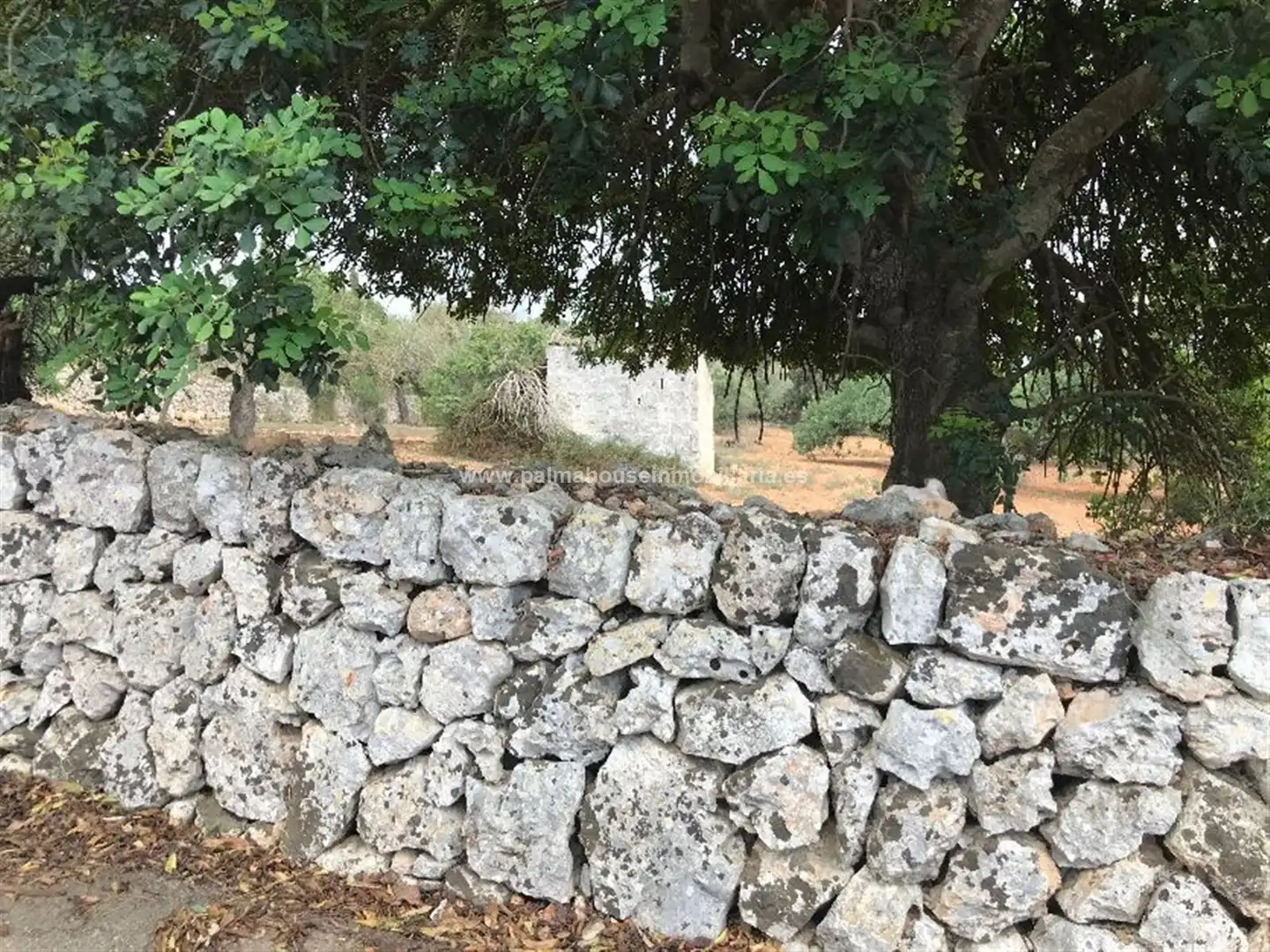 Wohnbaugrundstück zum Verkauf in Muro, imagen 9