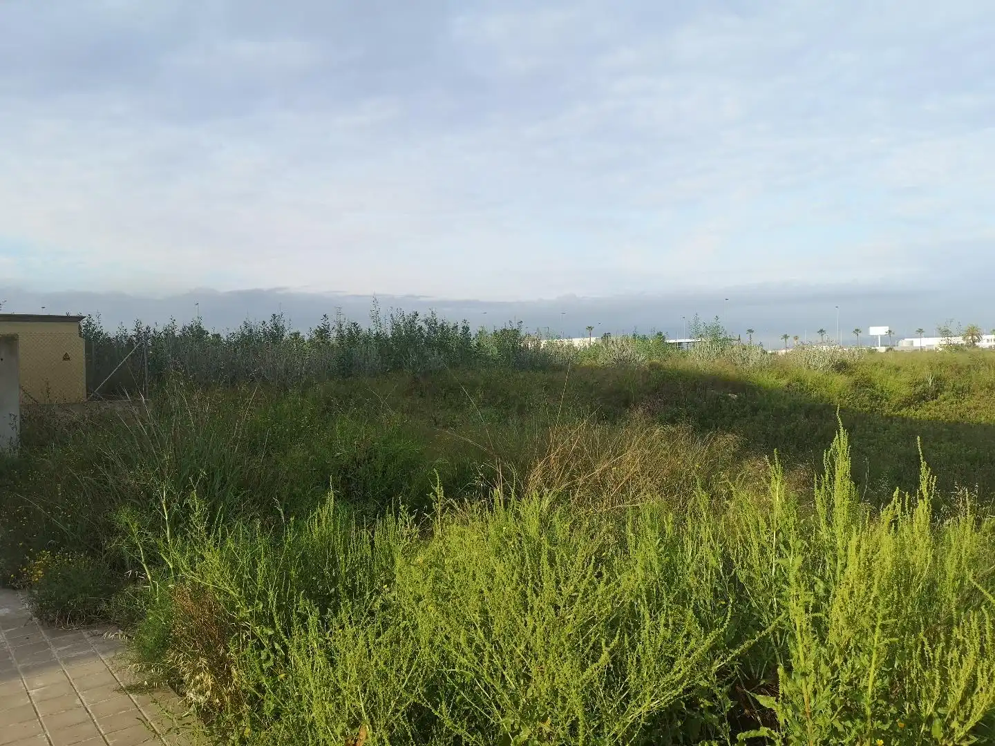 Industrial land for sale in Alzira