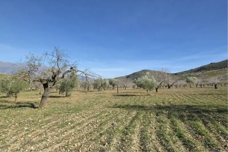 Terreno rustico in vendita a El Valle, imagen 25