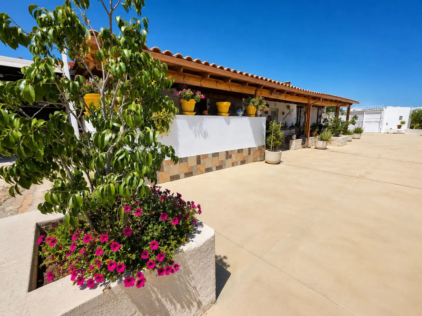 Terrace of Houses for sale in Fortuna  with Air Conditioner, Terrace and Swimming Pool