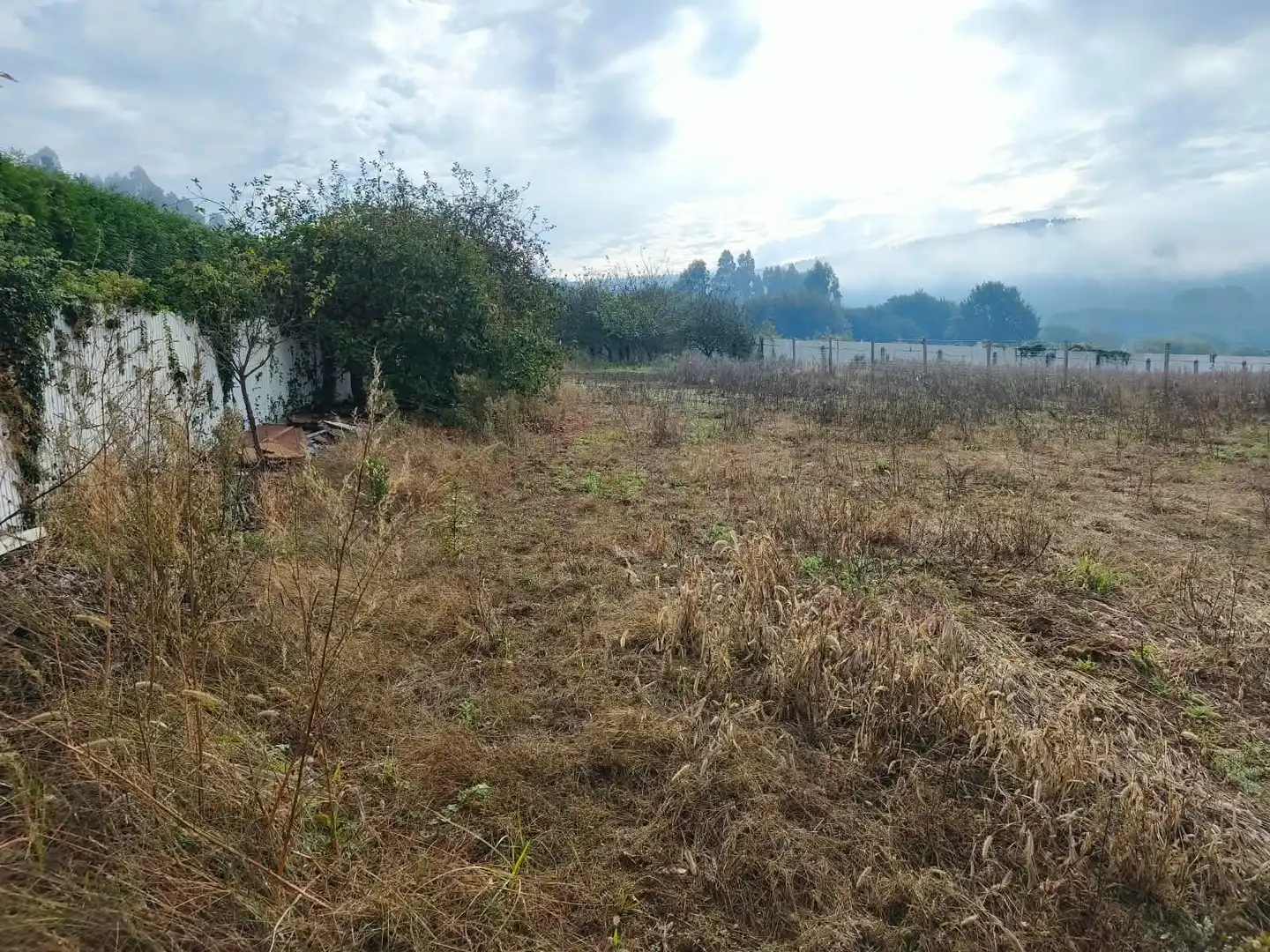 Wohnbaugrundstück zum Verkauf in Esteves 1, imagen 8