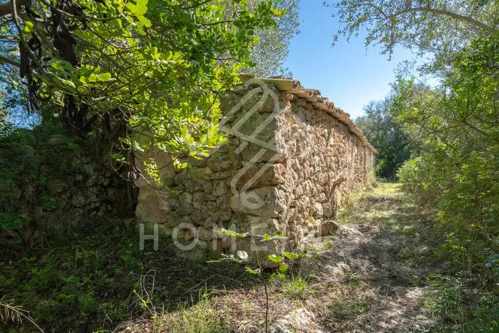 Country house with garden for sale in Costitx, imagen 20