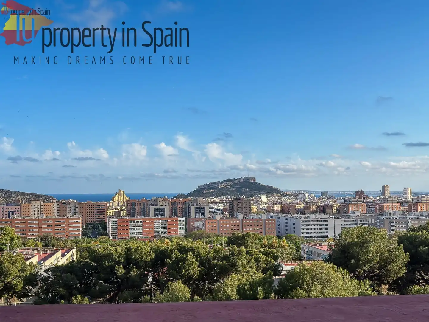 Exterior view of Flat for share in Alicante / Alacant  with Furnished
